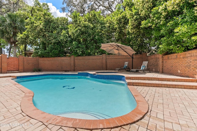 1053 Anchor Rd, Saint Johns, FL 32259 - view of pool featuring a fenced backyard, a pool with connected hot tub, a gate, and a patio