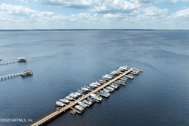 1053 Anchor Rd, Saint Johns, FL 32259 - aerial view featuring a water view