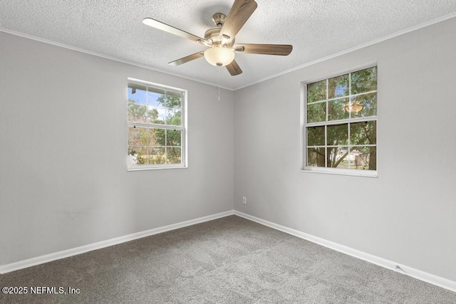 161 W 65th St, Jacksonville, FL 32208 - carpeted empty room featuring baseboards, crown molding, ceiling fan, and a textured ceiling