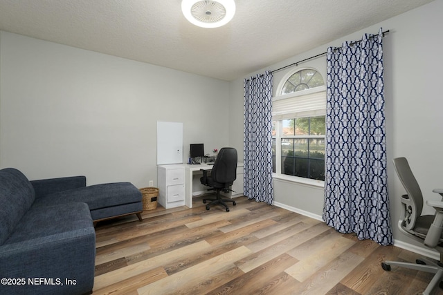 141 Casa Sevilla Ave, Saint Augustine, FL 32092 - office space with light wood-style floors and a textured ceiling