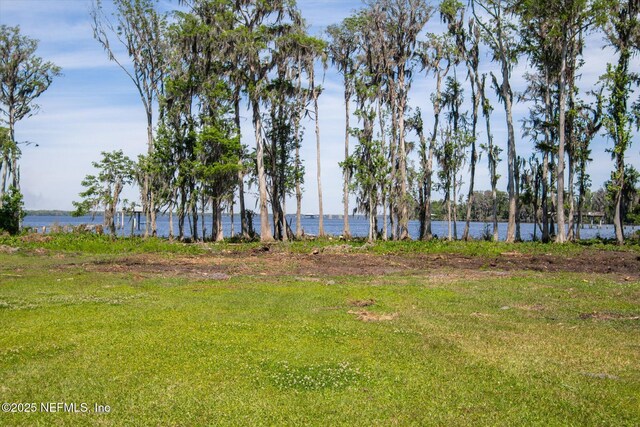 155 Mays Cove Rd, East Palatka, FL 32131 - photo 8