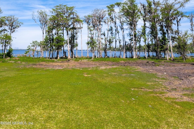 155 Mays Cove Rd, East Palatka, FL 32131 - photo 23