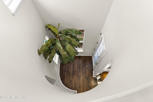 interior details featuring wood finished floors