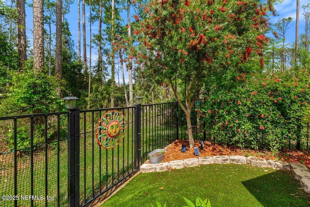 97 Scotch Pebble Dr, Saint Johns, FL 32259 - photo 41
