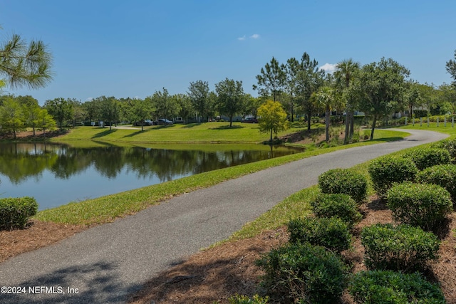 113 Footbridge Rd, Saint Johns, FL 32259 - view of property's community with a water view