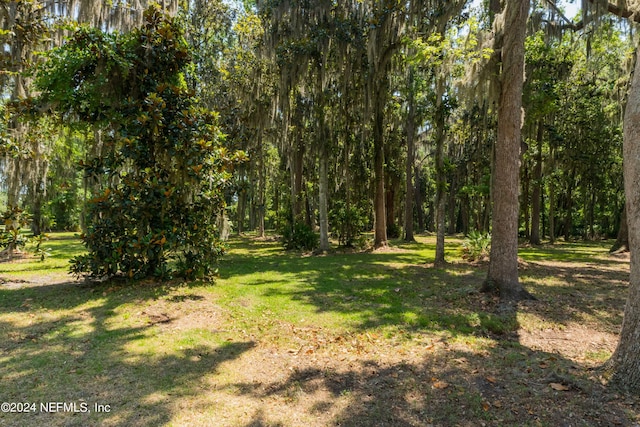 113 Footbridge Rd, Saint Johns, FL 32259 - view of landscape featuring a view of trees