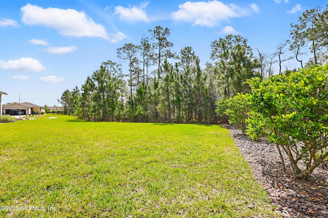 10642 Meeker Ct, Jacksonville, FL 32256 - photo 22