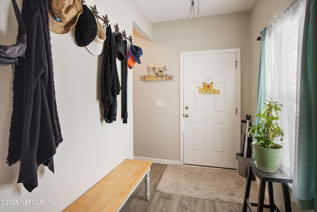 mudroom with baseboards and wood finished floors