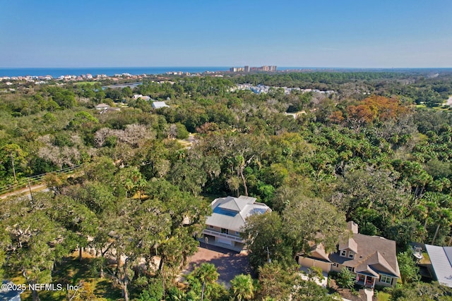 4 Pamela Pkwy, Palm Coast, FL 32137 - bird's eye view featuring a forest view