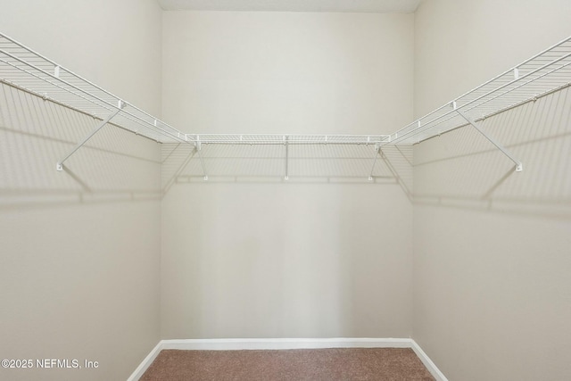 walk in closet with carpet