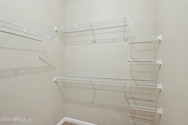 view of spacious closet
