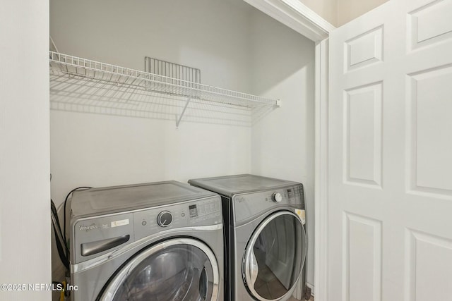 laundry area featuring washer and clothes dryer and laundry area