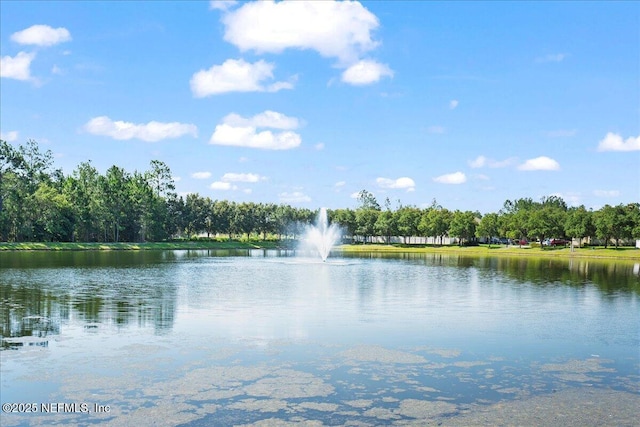 529 Deercroft Ln, Orange Park, FL 32065 - photo 32