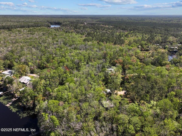15611 NW 42nd Pl, Chiefland, FL 32626 - photo 52