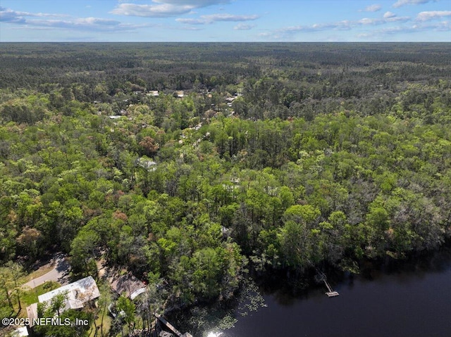 15611 NW 42nd Pl, Chiefland, FL 32626 - photo 49