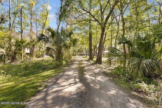 15611 NW 42nd Pl, Chiefland, FL 32626 - photo 8