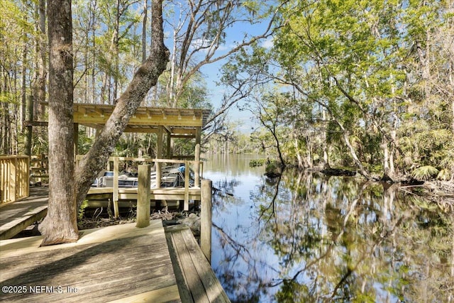 15611 NW 42nd Pl, Chiefland, FL 32626 - photo 46
