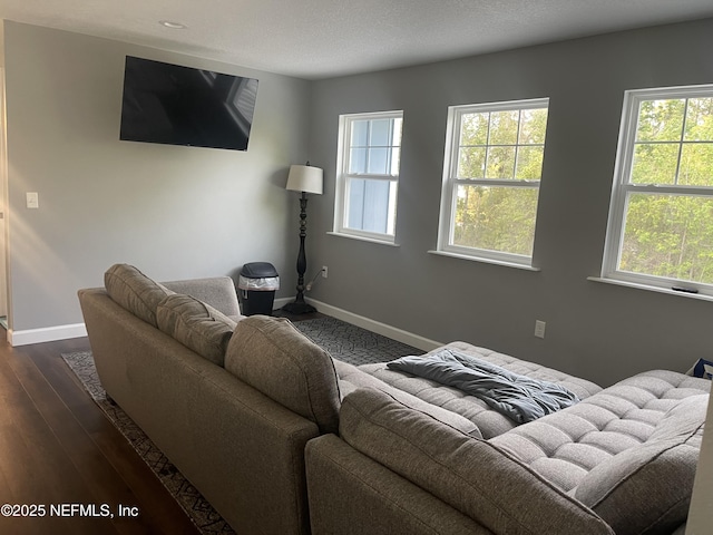 104 W Grandview Dr, East Palatka, FL 32131 - living area with dark wood-style floors, baseboards, and a healthy amount of sunlight