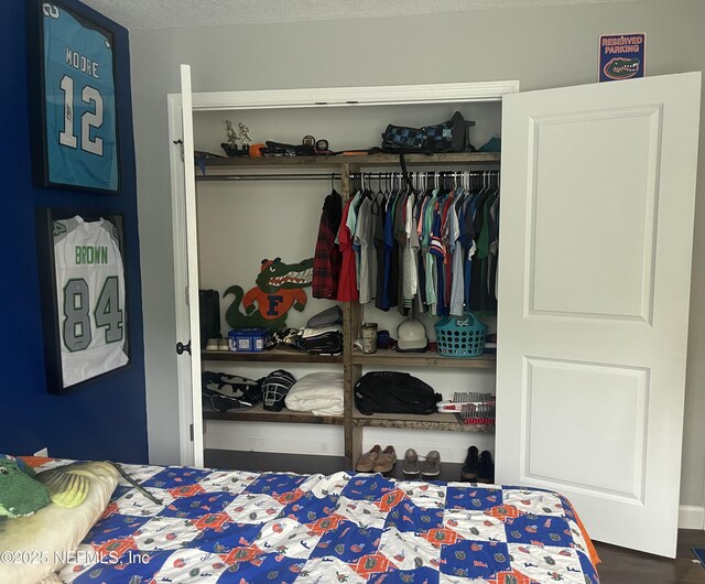 104 W Grandview Dr, East Palatka, FL 32131 - bedroom with a textured ceiling and a closet