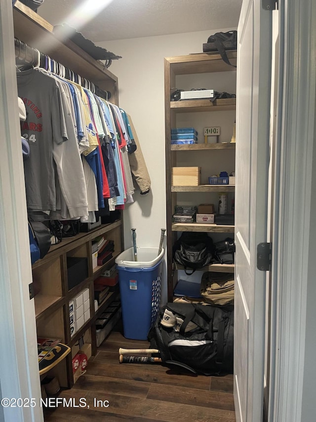 104 W Grandview Dr, East Palatka, FL 32131 - spacious closet with wood finished floors