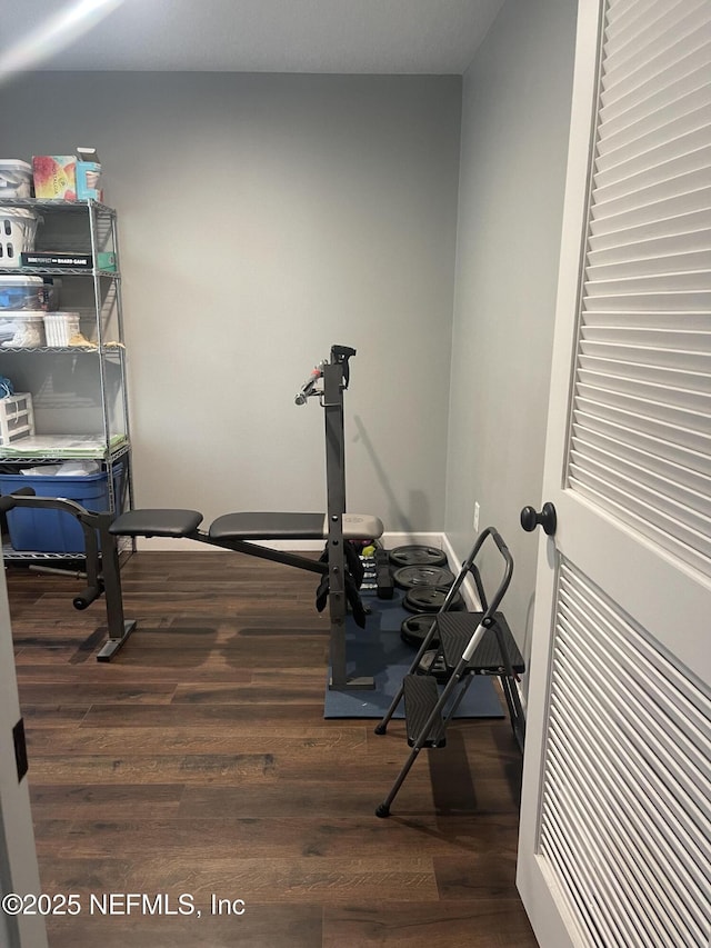 104 W Grandview Dr, East Palatka, FL 32131 - workout area featuring wood finished floors
