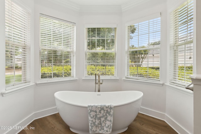 4520 Swilcan Bridge Ln N, Jacksonville, FL 32224 - full bathroom with baseboards, wood finished floors, and a soaking tub