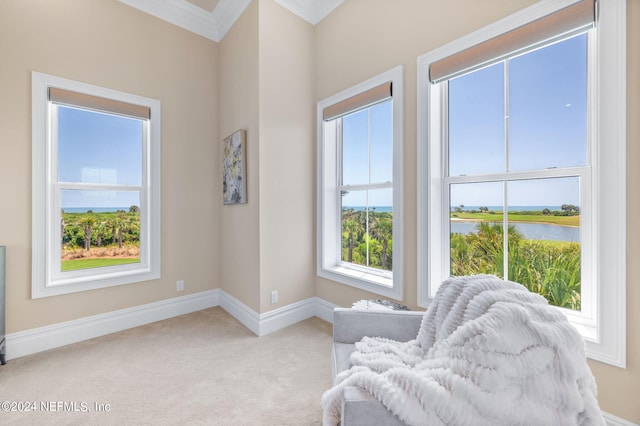 52 Northshore Dr, Palm Coast, FL 32137 - photo 48