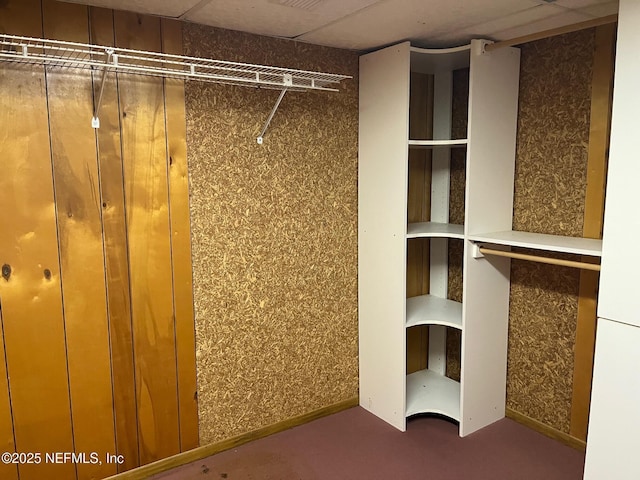 walk in closet featuring carpet floors