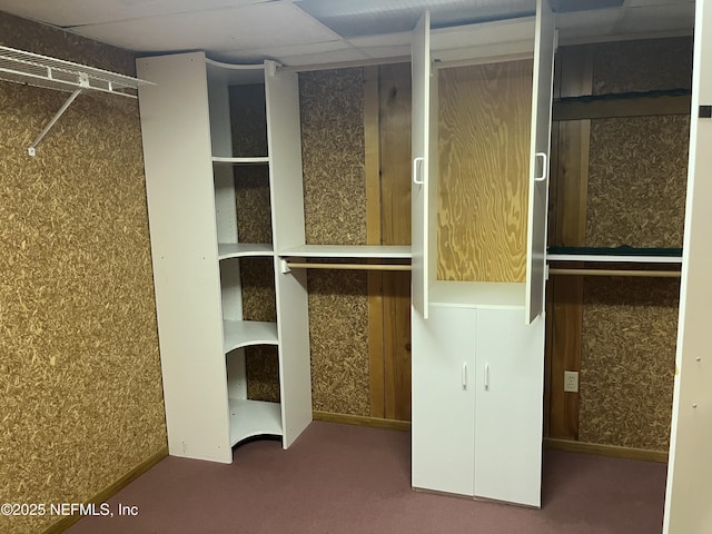 1933 Timucua Trl, Middleburg, FL 32068 - view of closet
