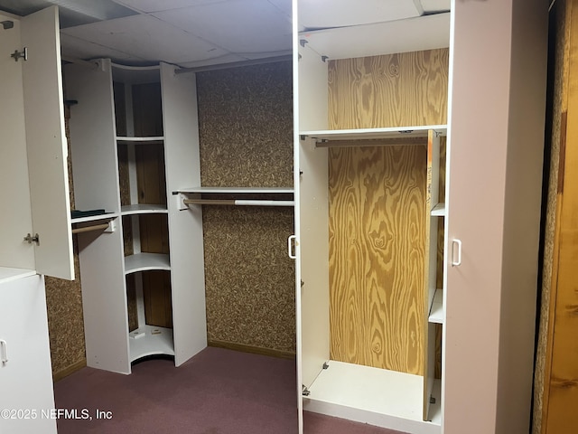 1933 Timucua Trl, Middleburg, FL 32068 - view of closet