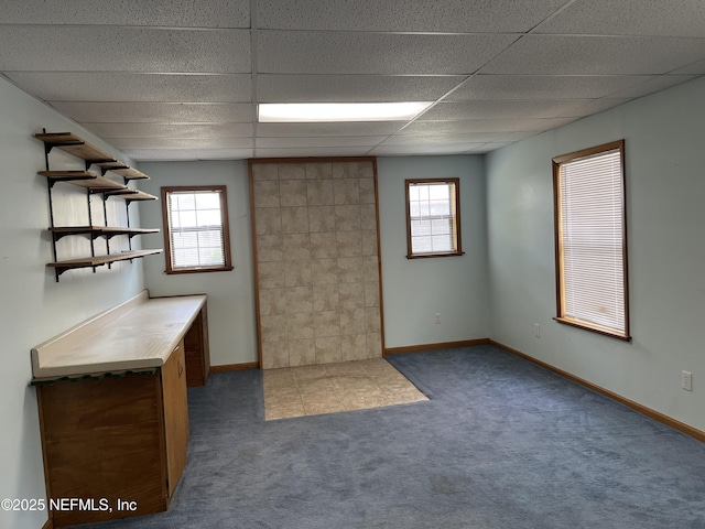 1933 Timucua Trl, Middleburg, FL 32068 - basement with carpet flooring, plenty of natural light, and a paneled ceiling
