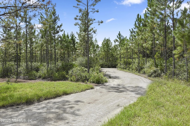 489 Windley Dr, Saint Augustine, FL 32092 - view of street with a view of trees