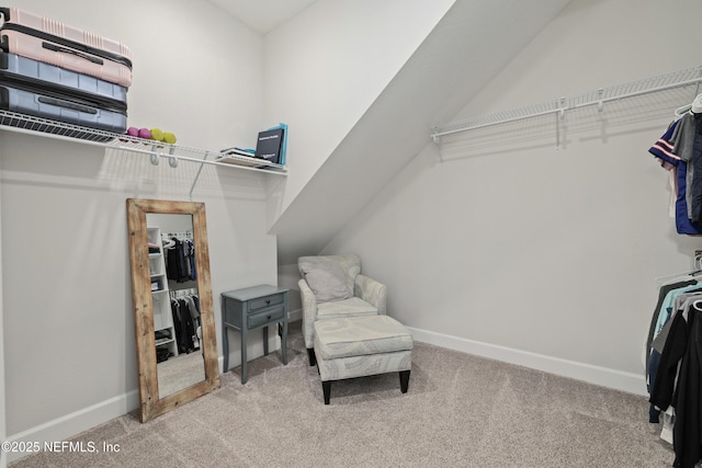 489 Windley Dr, Saint Augustine, FL 32092 - spacious closet featuring carpet floors
