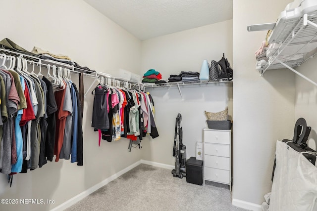 29 Stargaze Ln, Saint Augustine, FL 32095 - spacious closet featuring carpet