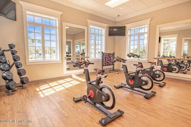 29 Stargaze Ln, Saint Augustine, FL 32095 - workout area with wood finished floors, healthy amount of natural light, ornamental molding, and baseboards