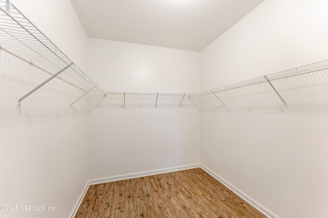 15949 Lexington Park Blvd, Jacksonville, FL 32218 - spacious closet featuring light wood-style floors