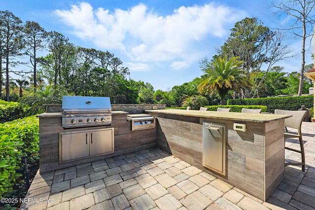 view of patio / terrace with exterior kitchen, area for grilling, and outdoor dry bar