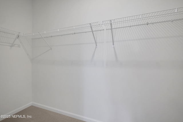 356 Salazar St, Saint Augustine, FL 32095 - walk in closet featuring light colored carpet
