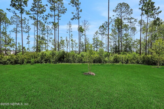 356 Salazar St, Saint Augustine, FL 32095 - view of grassy yard