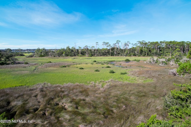 35211 Harbour Vista Cir, Saint Augustine, FL 32080 - view of nature