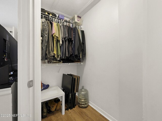 35211 Harbour Vista Cir, Saint Augustine, FL 32080 - walk in closet with wood finished floors