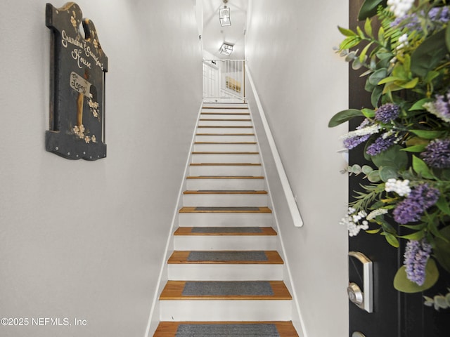 35211 Harbour Vista Cir, Saint Augustine, FL 32080 - staircase featuring wood finished floors and baseboards