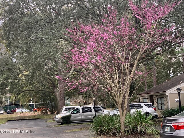 6202 Lake Lugano Dr Unit 6202, Jacksonville, FL 32256 - photo 20