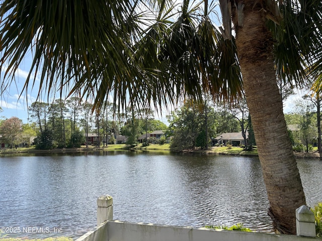 6202 Lake Lugano Dr Unit 6202, Jacksonville, FL 32256 - photo 25