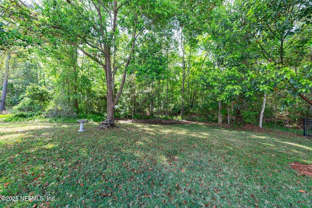 view of yard featuring a wooded view