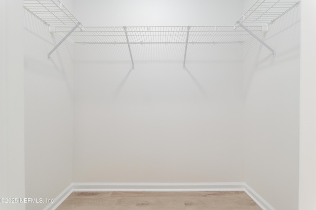 2895 Cross Creek Dr, Green Cove Springs, FL 32043 - walk in closet featuring light wood-style floors