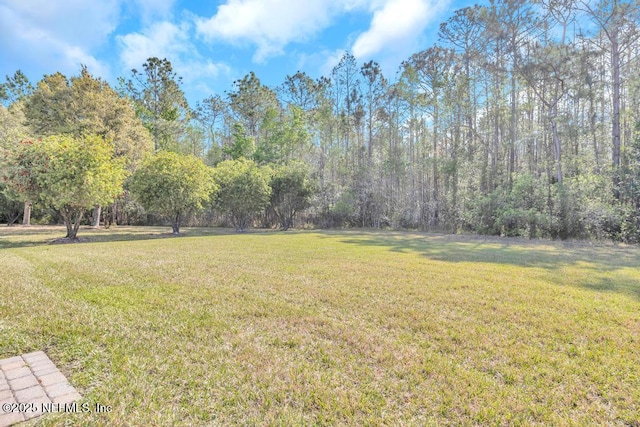 714 Copperhead Cir, Saint Augustine, FL 32092 - view of yard