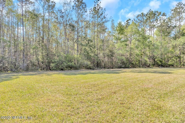 714 Copperhead Cir, Saint Augustine, FL 32092 - view of yard with a view of trees