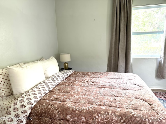 2118 Detroit St, Jacksonville, FL 32254 - view of bedroom