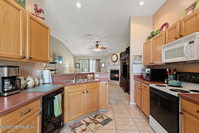 kitchen featuring stainless steel microwave, white microwave, range with electric cooktop, dishwasher, and a sink